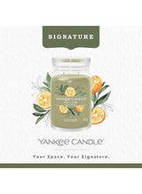 YANKEE CANDLE Sage & Citrus Jar Candle 567grams - 2 wick Scented candle 20oz | 65 hrs burn-time | Perfect for Gifting, Home Décor, Parties & Room Perfuming | Ideal for Living room and Office Décor 2
