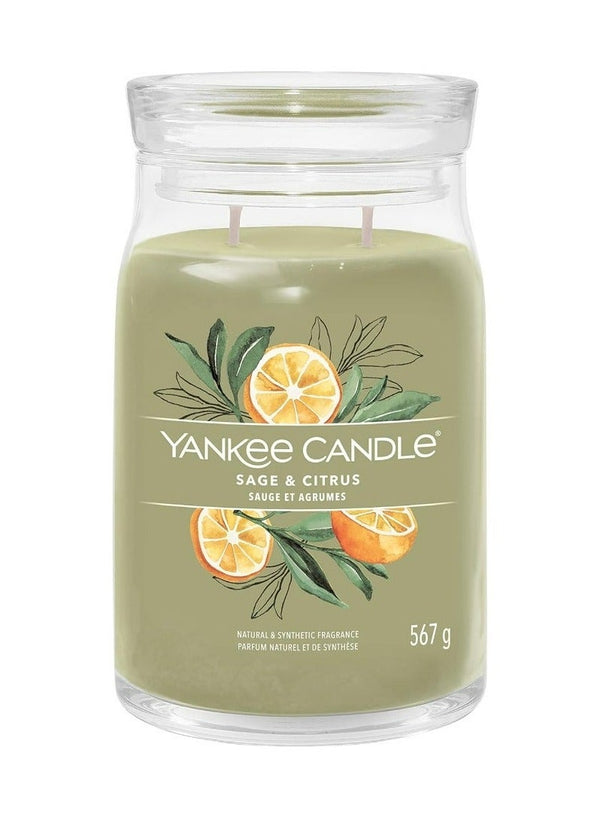 YANKEE CANDLE Sage & Citrus Jar Candle 567grams - 2 wick Scented candle 20oz | 65 hrs burn-time | Perfect for Gifting, Home Décor, Parties & Room Perfuming | Ideal for Living room and Office Décor