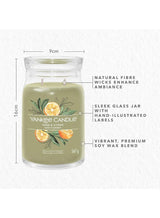 YANKEE CANDLE Sage & Citrus Jar Candle 567grams - 2 wick Scented candle 20oz | 65 hrs burn-time | Perfect for Gifting, Home Décor, Parties & Room Perfuming | Ideal for Living room and Office Décor 4