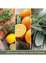 YANKEE CANDLE Sage & Citrus Jar Candle 567grams - 2 wick Scented candle 20oz | 65 hrs burn-time | Perfect for Gifting, Home Décor, Parties & Room Perfuming | Ideal for Living room and Office Décor 3